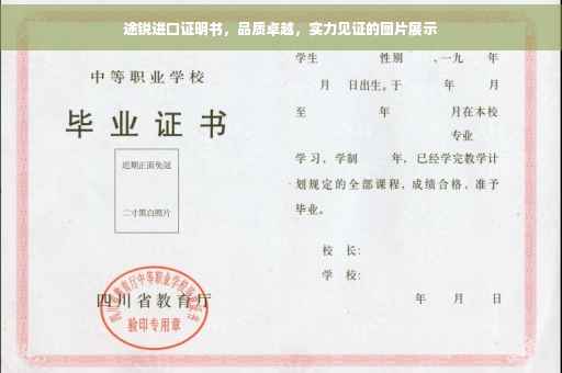 途锐进口证明书，品质卓越，实力见证的图片展示
