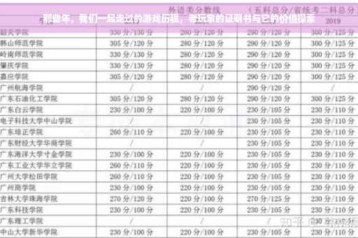 那些年，我们一起走过的游戏历程，老玩家的证明书与它的价值探索