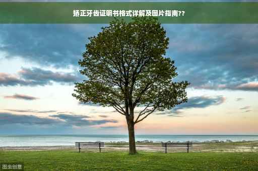 矫正牙齿证明书格式详解及图片指南??