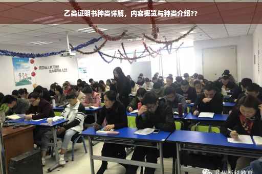 乙类证明书种类详解，内容概览与种类介绍??