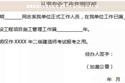 童模毕业证书图片高清(童模毕业证书图片高清大图)