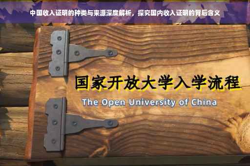 中国收入证明的种类与来源深度解析，探究国内收入证明的背后含义