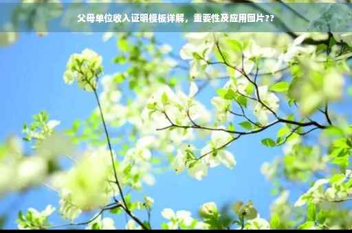 父母单位收入证明模板详解，重要性及应用图片??