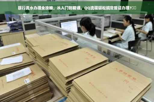 银行流水办理全攻略，从入门到精通，QQ流程轻松搞定签证办理?⚡️