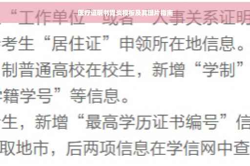 医疗证明书胃炎模板及其图片指南