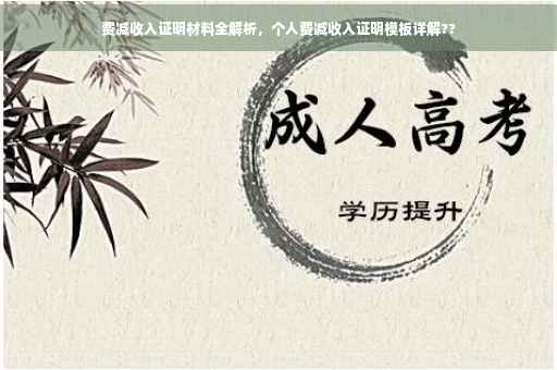 费减收入证明材料全解析，个人费减收入证明模板详解??