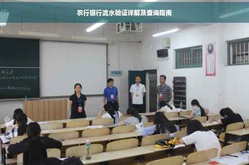 农行银行流水验证详解及查询指南