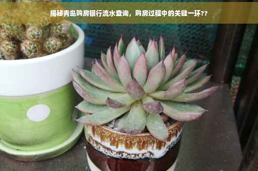 揭秘青岛购房银行流水查询，购房过程中的关键一环??