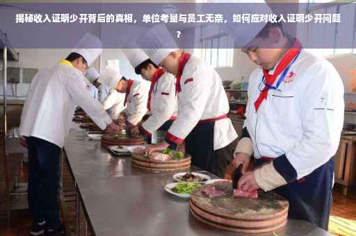 揭秘收入证明少开背后的真相，单位考量与员工无奈，如何应对收入证明少开问题？