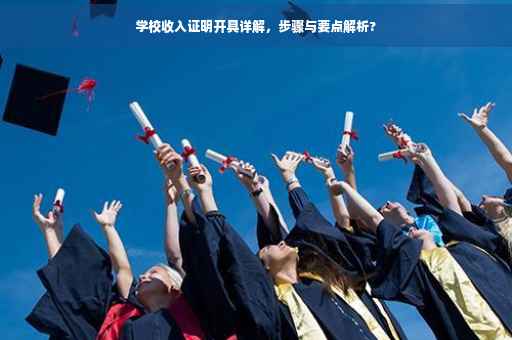 学校收入证明开具详解，步骤与要点解析?
