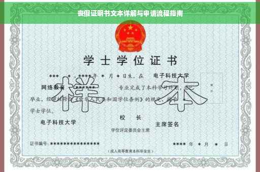 丧假证明书文本详解与申请流程指南