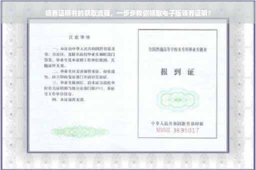 领养证明书的获取流程，一步步教你领取电子版领养证明?