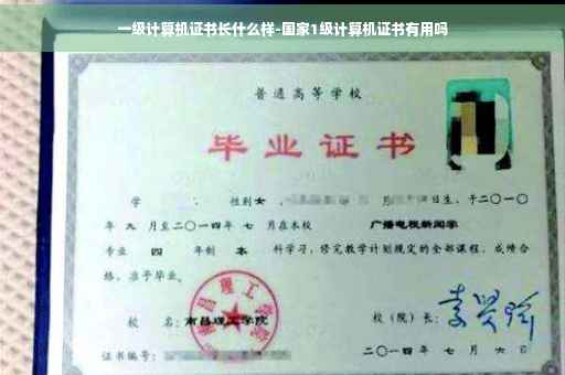 一级计算机证书长什么样-国家1级计算机证书有用吗