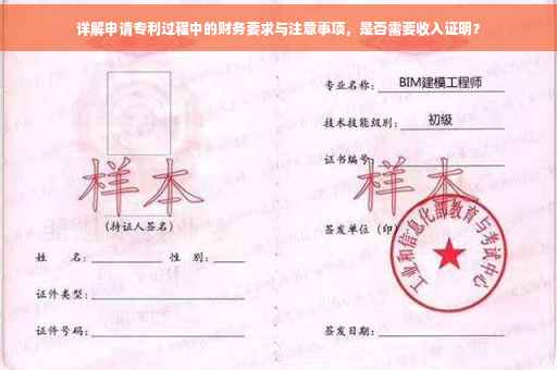 详解申请专利过程中的财务要求与注意事项，是否需要收入证明？