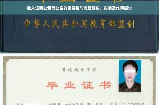 收入证明公司盖公章的重要性与流程解析，影响及作用探讨