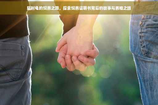 辐射龟的饲养之路，探索饲养证明书背后的故事与养殖之旅