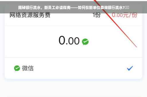 揭秘银行流水，新员工必读指南——如何在新单位查询银行流水?⚡️