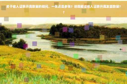 关于收入证明开具数量的疑问，一张还是多张？详细解读收入证明开具发票数量??