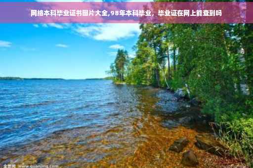 网络本科毕业证书图片大全,98年本科毕业，毕业证在网上能查到吗