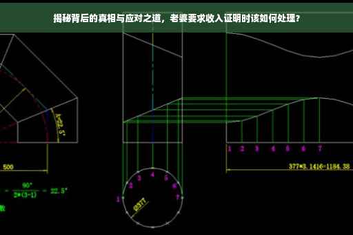 揭秘背后的真相与应对之道，老婆要求收入证明时该如何处理？