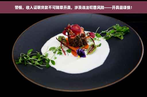 警惕，收入证明贷款不可随意开具，涉及违法犯罪风险——开具需谨慎！