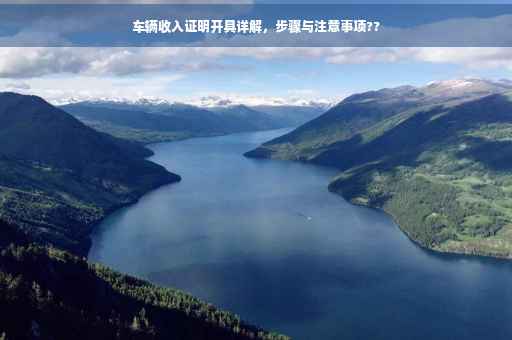 车辆收入证明开具详解，步骤与注意事项??