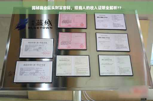 揭秘商业巨头财富密码，经商人的收入证明全解析??