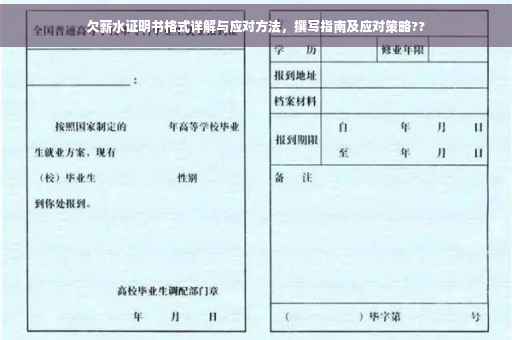 欠薪水证明书格式详解与应对方法，撰写指南及应对策略??