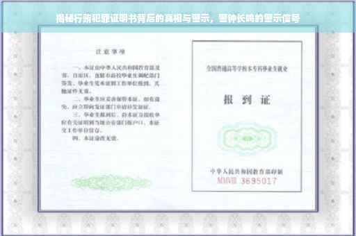 揭秘行贿犯罪证明书背后的真相与警示，警钟长鸣的警示信号