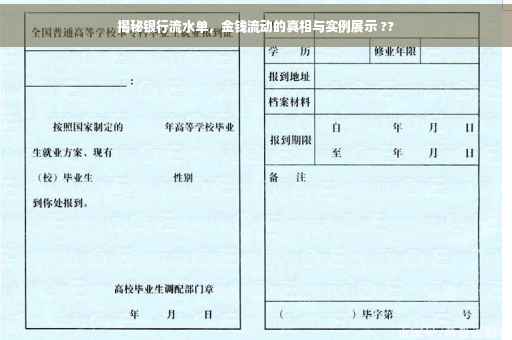 揭秘银行流水单，金钱流动的真相与实例展示 ??