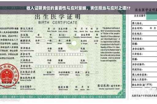 收入证明责任的重要性与应对策略，责任担当与应对之道??
