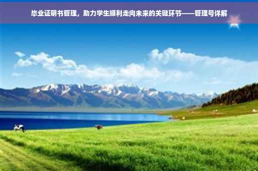 毕业证明书管理，助力学生顺利走向未来的关键环节——管理号详解