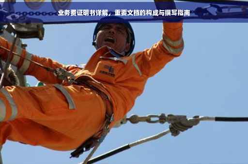 业务费证明书详解，重要文档的构成与撰写指南