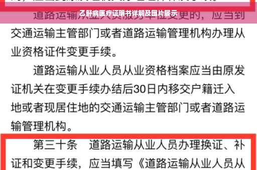 乙肝病医疗证明书详解及图片展示