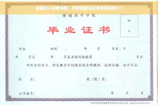 滴滴收入证明详解，开具流程与注意事项指南?⚡️