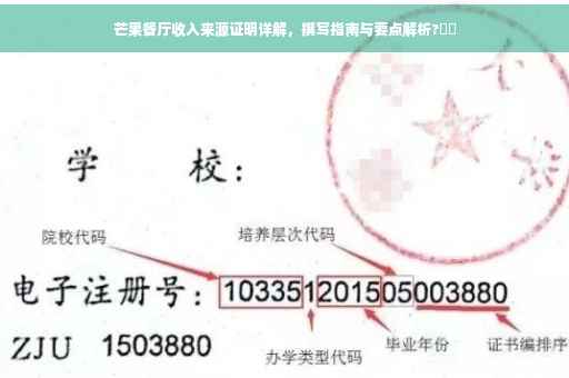 芒果餐厅收入来源证明详解，撰写指南与要点解析?️✨