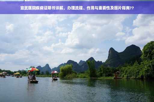 宣武医院疾病证明书详解，办理流程、作用与重要性及图片指南??