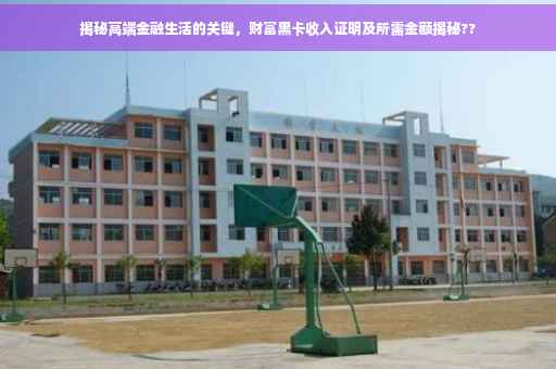 揭秘高端金融生活的关键，财富黑卡收入证明及所需金额揭秘??