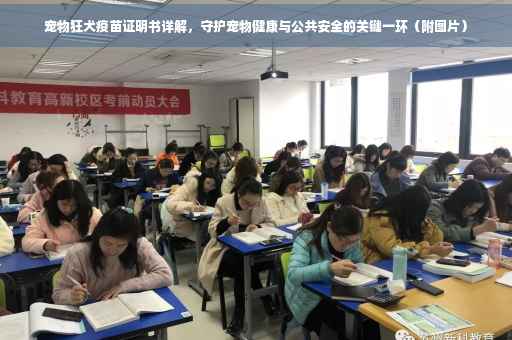 宠物狂犬疫苗证明书详解，守护宠物健康与公共安全的关键一环（附图片）