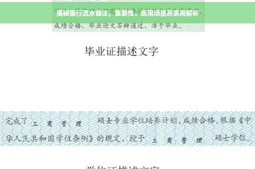 揭秘银行流水备注，重要性、应用场景及实用解析