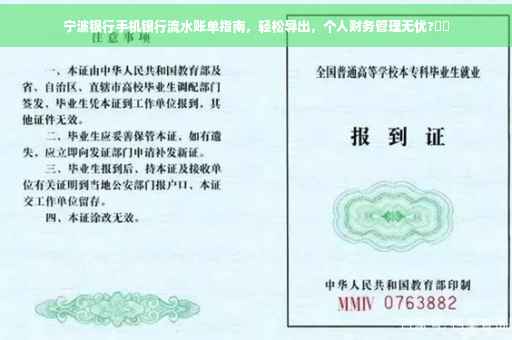宁波银行手机银行流水账单指南，轻松导出，个人财务管理无忧?⚡️