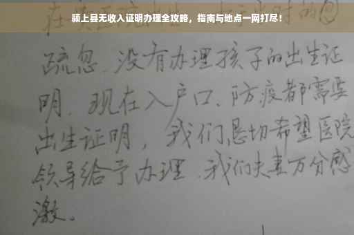 颍上县无收入证明办理全攻略，指南与地点一网打尽！