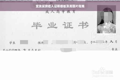 宜宾买房收入证明模板及其图片指南