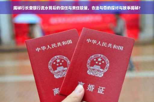 揭秘行长查银行流水背后的信任与责任较量，合法与否的探讨与故事揭秘?