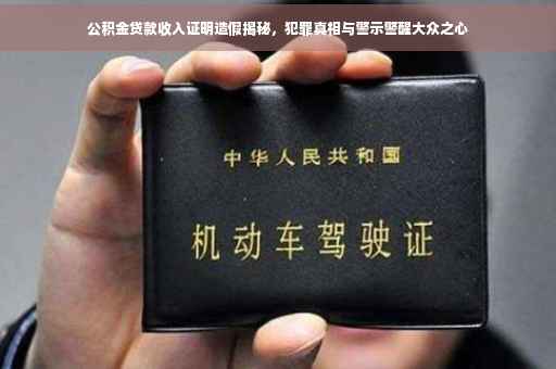 公积金贷款收入证明造假揭秘，犯罪真相与警示警醒大众之心