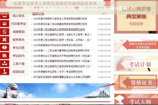 揭秘收入证明盖椭圆章的真相，椭圆章是否可用于收入证明？??