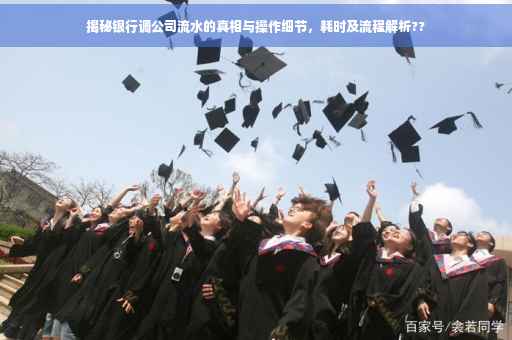 揭秘银行调公司流水的真相与操作细节，耗时及流程解析??