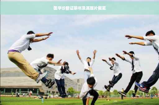 医学诊断证明书及其图片概览