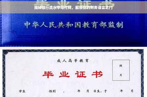 揭秘银行流水字母代码，解锁你的财务语言之门