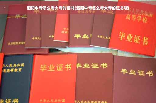 泗阳中专怎么考大专的证书(泗阳中专怎么考大专的证书呢)